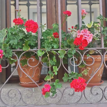 De Aceiteros 2* Ahigal de los Aceiteros