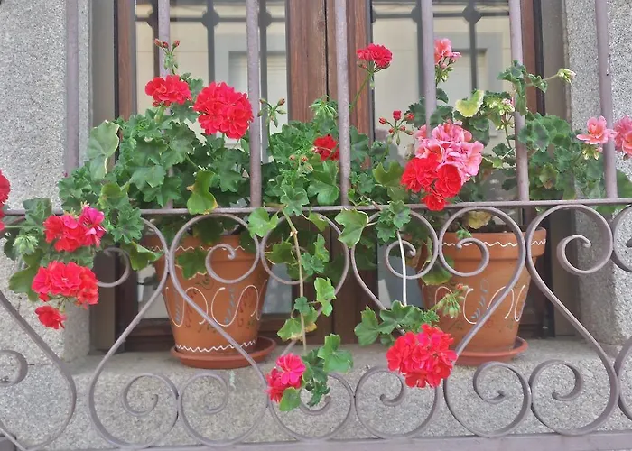 De Aceiteros 2* Ahigal de los Aceiteros